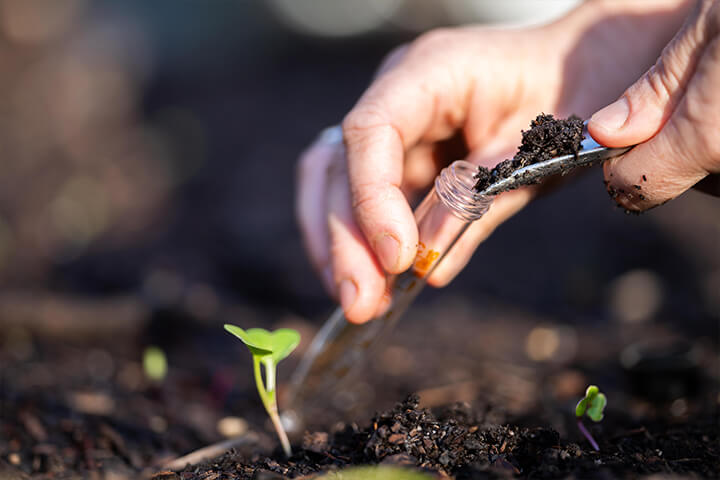 Gathering Soil Sample